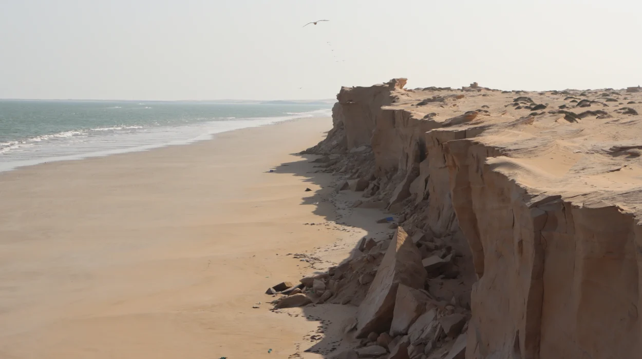 Beach Image IMG_0749