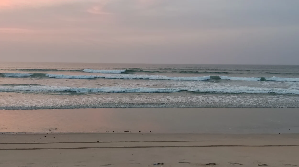 IMG_20220410_053614_Ashkhara