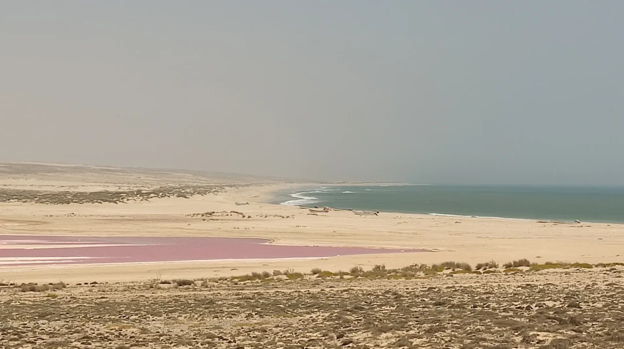 IMG_20220410_112743_Ashkhara